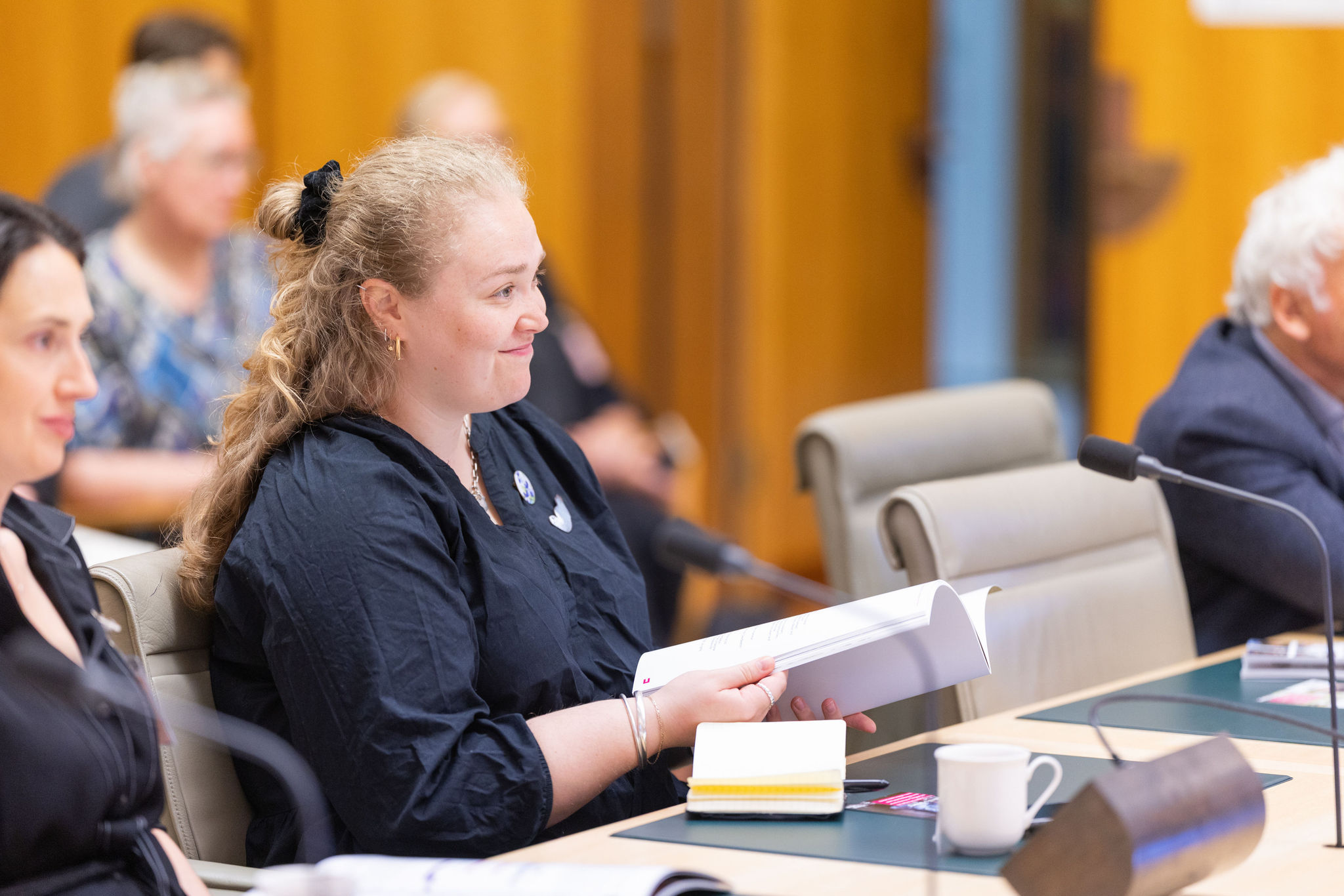 Parliamentary Group meeting